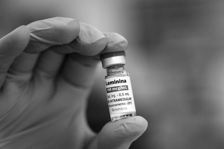 Sete pacientes morrem durante uso compassivo de polilaminina no Brasil