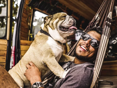 Cachorro de SC com doença crônica viaja o mundo com tutor em barbearia móvel