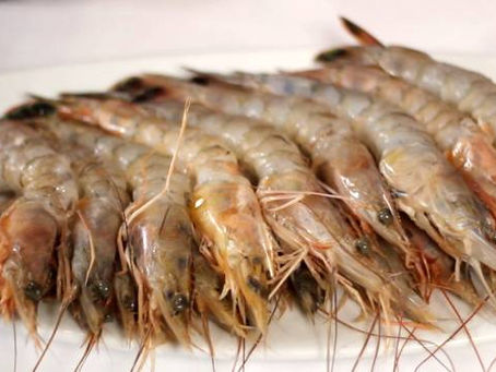 Seafood, Cara menyimpan udang agar tahan lama dan tetap fresh
