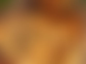 Mengenal Asal Usul Pembuatan Roti Canai ( Maryam)