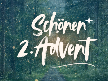 Einen schönen zweiten Advent aus unserem herbstlichen Wald! 🌲✨