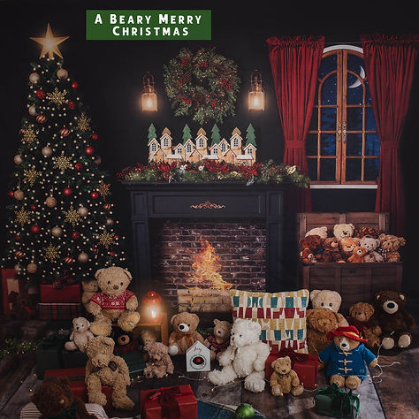 christmas photoshoots 2025 north wales 2.jpg