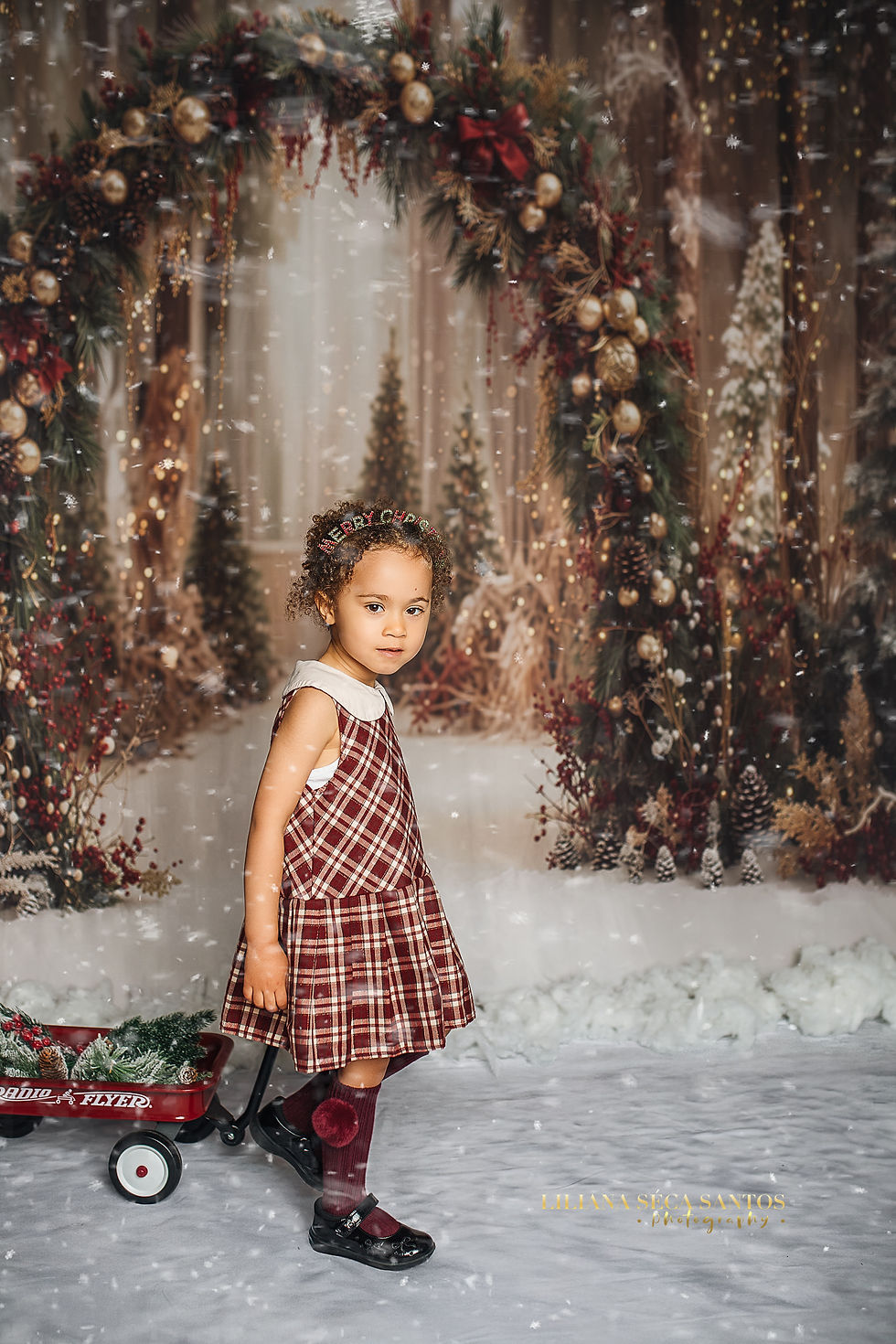 Smiling child in plaid dress holds a red wagon with festive greenery during Flintshire Christmas pho