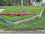 ecusson de la ville de Pertuis (plantes fournies par Bonheur Jardin).jpg