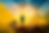 Running towards the city horizon.png