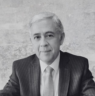 José Luis Alliende Leiva
