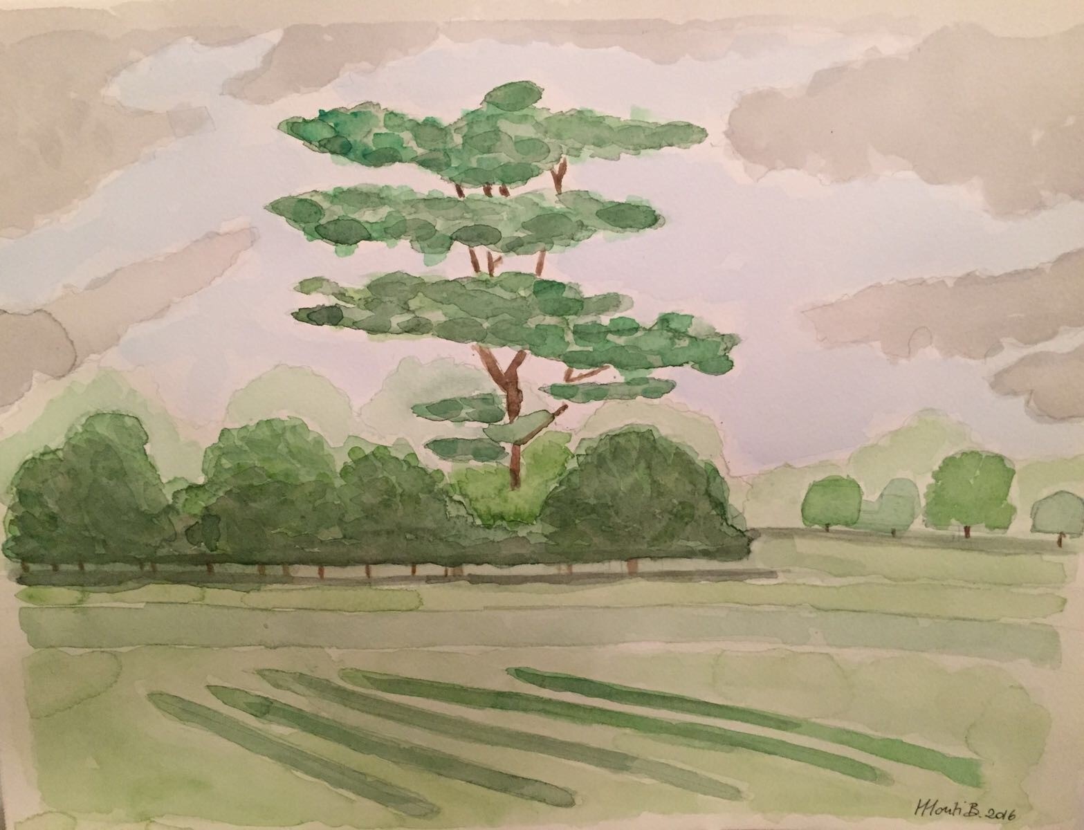 Baobab