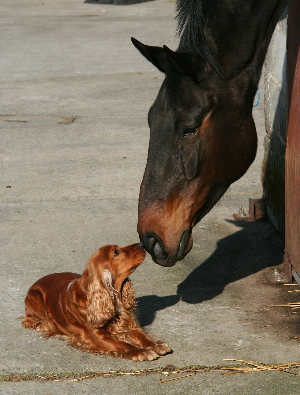 Image by Maya Bouton