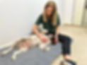 Expert Canine Massage Therapy Pets Pain Relief