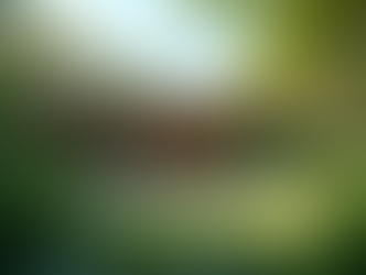 Booking Luxury Eco Villas Made Simple: Your Guide to Luxury Eco Villas Booking