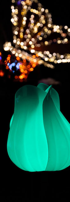 Festival svjetla Sarajevo