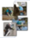 xhome-collage-min.png.pagespeed.ic.Qu47CWTgdO.webp