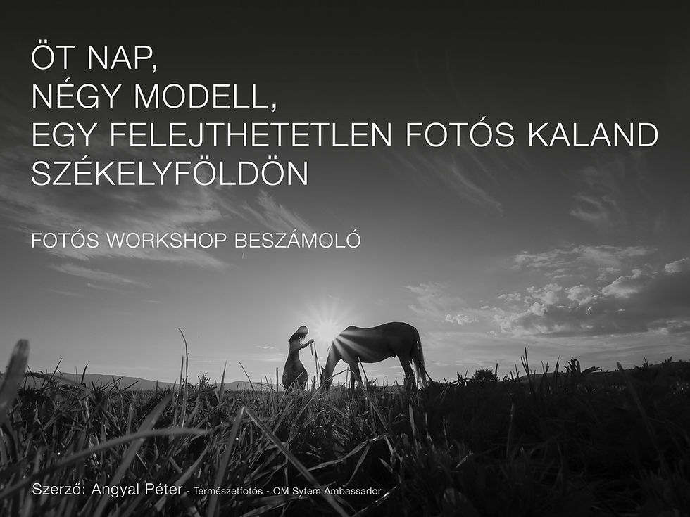 FOTÓS WORKSHOP SZÉKELYFÖLDÖN