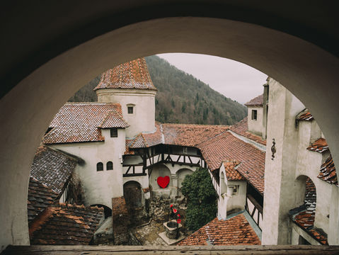 Elysian Flowers - Castelul Bran