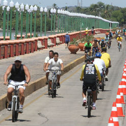 Ranking de produção cientifica sobre Atividade Física