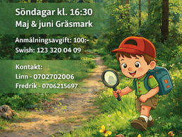 Skogsknatterna