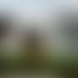 ¿Se puede predecir el mercado inmobiliario? 5 señales clave a observar