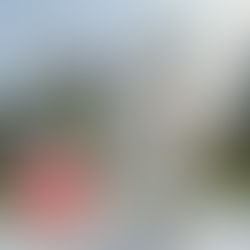 ¿Conviene contratar una inmobiliaria? Comparación real: vender solo vs vender acompañado.