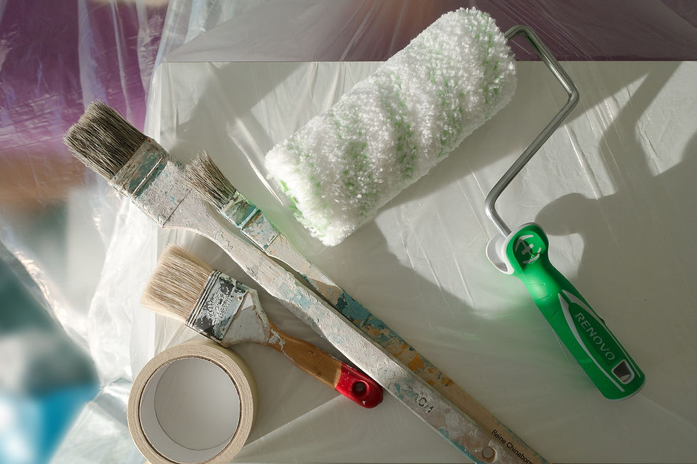 Mold Remediation