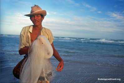 Endangered Coast