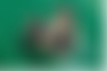For Lack Of A Term Announce New EP Not Quite You Out April 10th