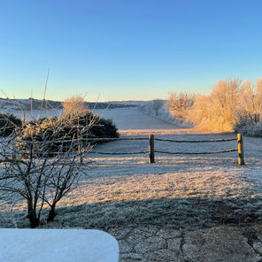 Un matin d'hiver.jpg