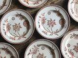Antique plate Marguerite
フランス菊 プレート