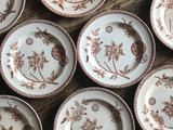 Antique plate Marguerite
フランス菊 プレート