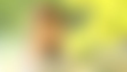 自分の道を堂々と歩こう