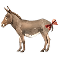 Donkeyclear_edited_edited_edited_edited_