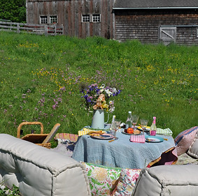 party rentals
