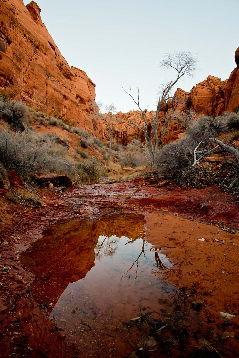 winter in the desert