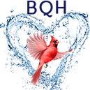 BQH practitioner