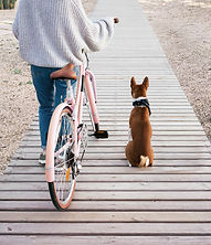 Going for a Ride