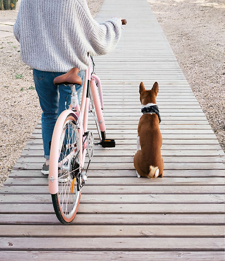 Going for a Ride