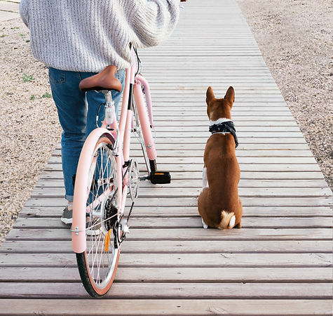 Going for a Ride