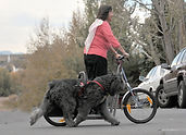Jan & Quincy with scooter.jpg