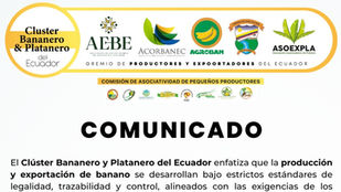 Comunicado Oficial del Clúster Bananero y Platanero del Ecuador sobre trazabilidad y seguridad de la cadena bananera