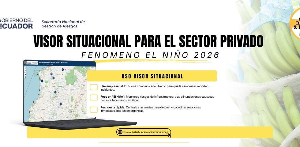 Cluster - Banner.jpg