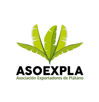 LOGOS MEMBROS CLUSTER-05.jpg