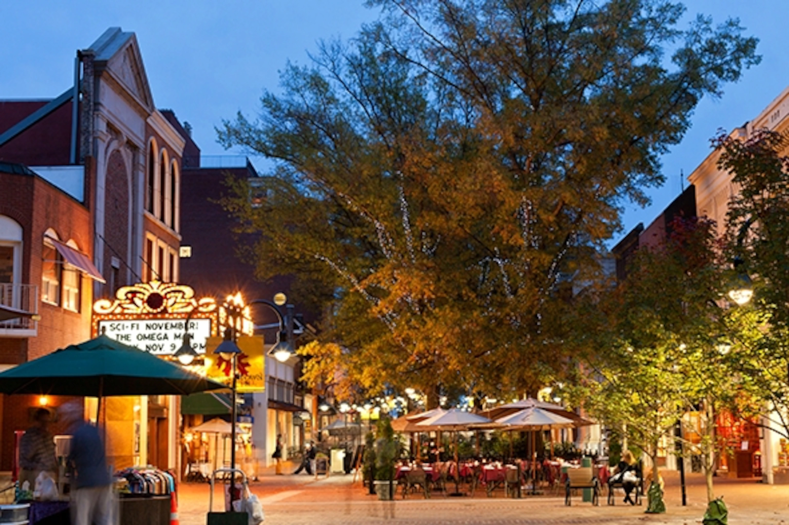 downtown-charlottesville-va-590.jpg.webp