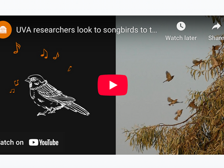 Larson Lab in UVA Today