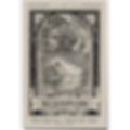 Frog and Scorpion