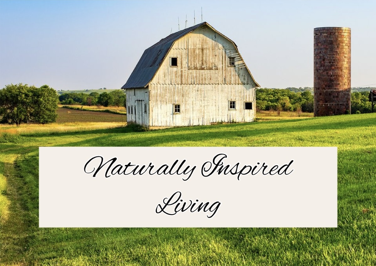 Writer: naturallyinspiredliving