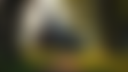 Experience the Charm of Vintage Oaks Weddings