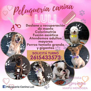 PELUQUERÍA CANINA LULI🐕