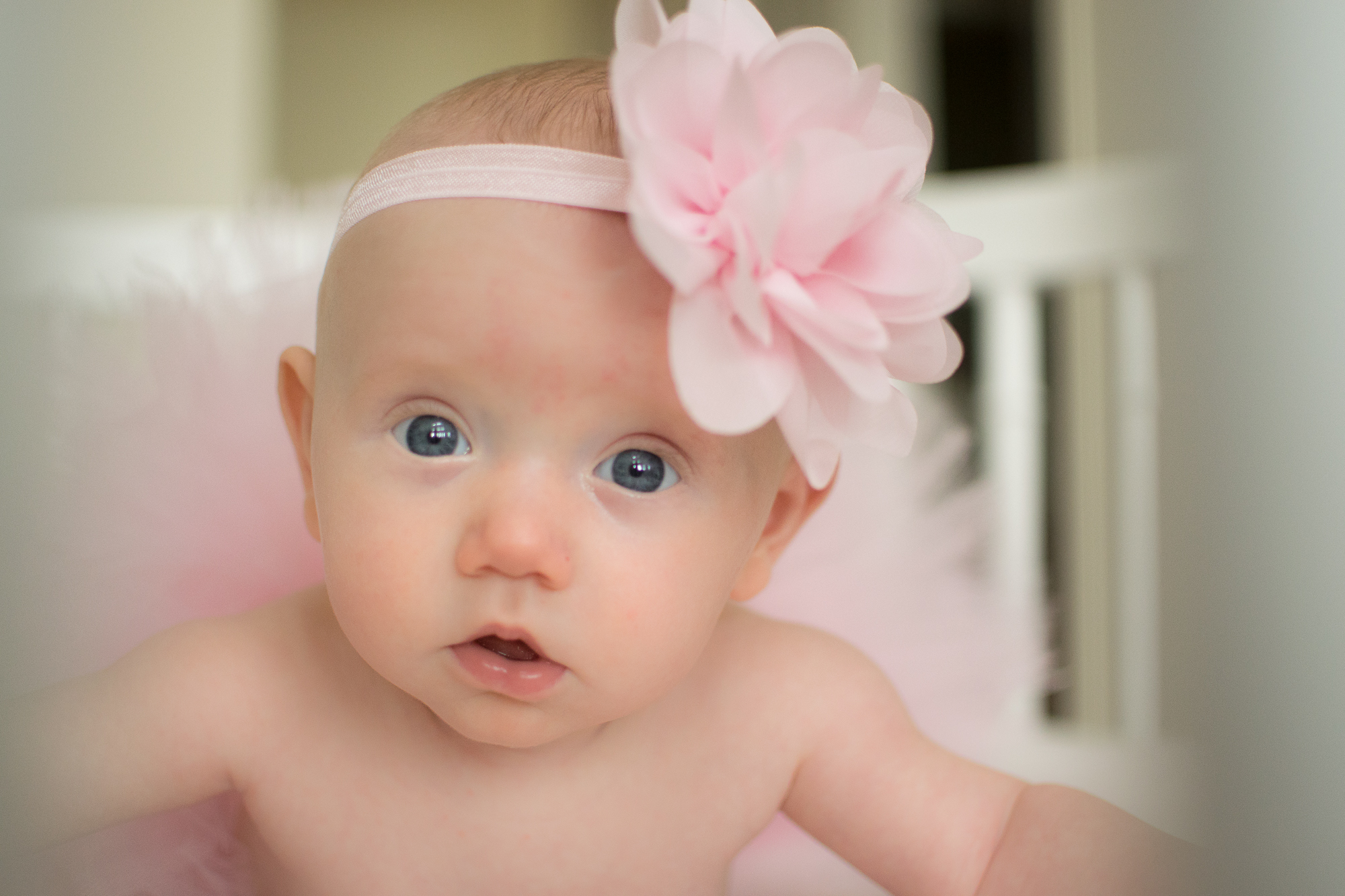 Van Epps Photography Newborn and Family Photographer