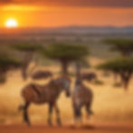 Africa background picture about our holiday discount of the following prices.jpg