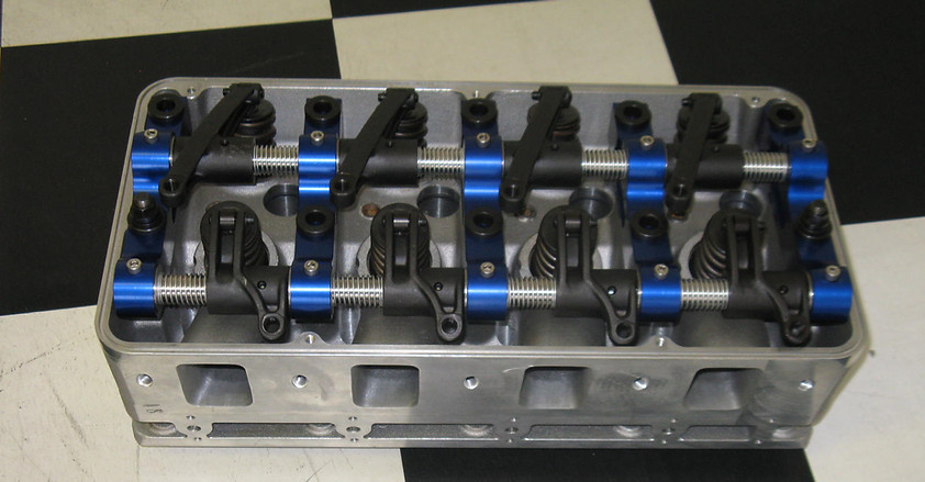 arius hemi1.JPG