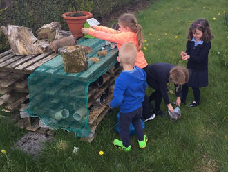Our Bug Hotel